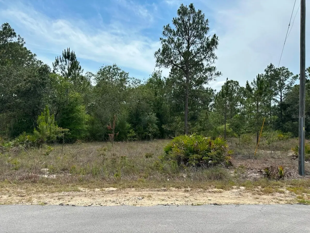 00 South Haven Court, Dunnellon, FL 34431 - #1