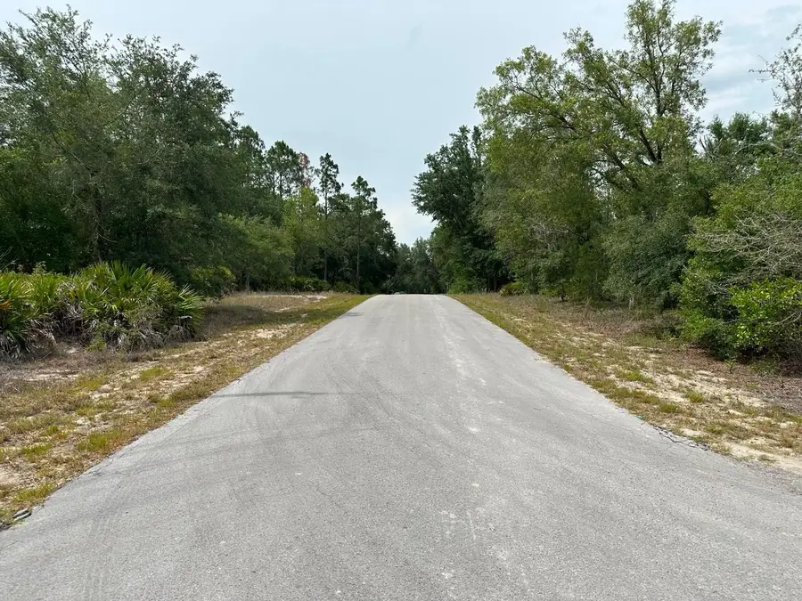 00 South Haven Court, Dunnellon, FL 34431 - #2