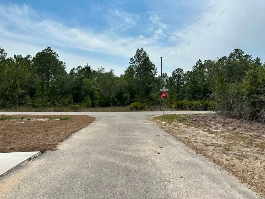 00 South Haven Court, Dunnellon, FL 34431 - #3