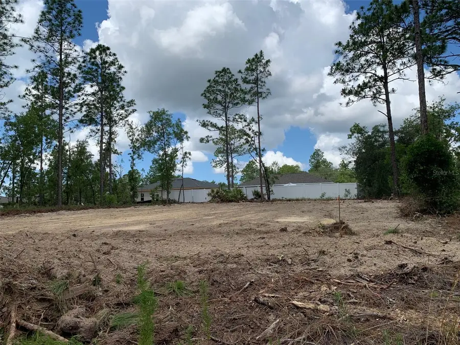 547 W Homeway Loop, Dunnellon, FL 34434 - #3