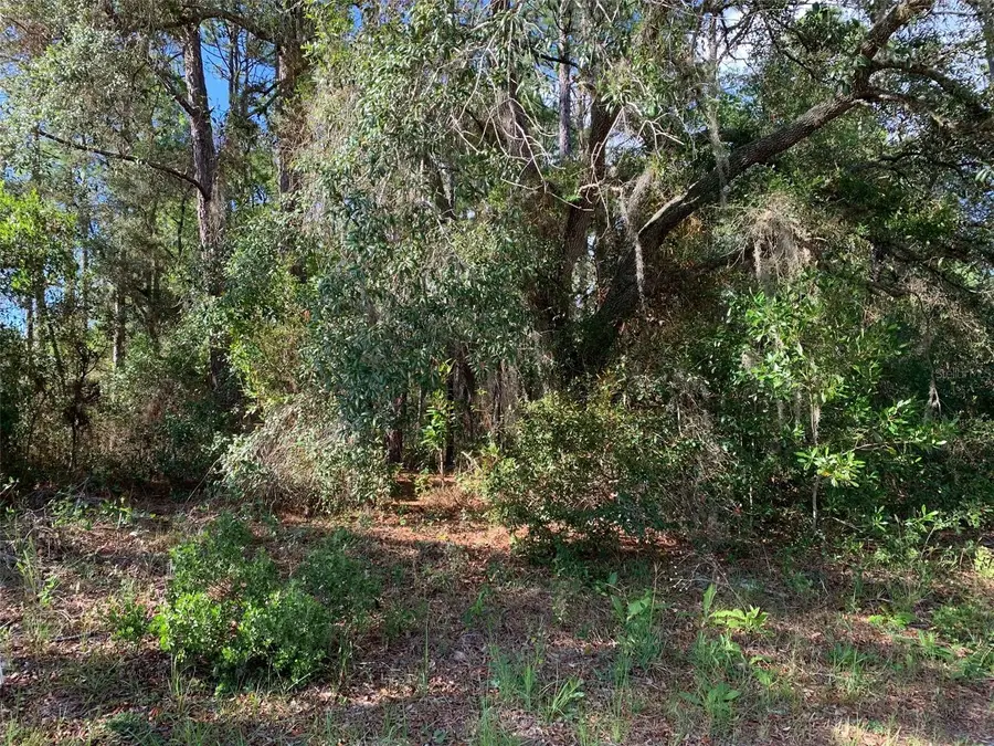 4081 W Findlay Street, Dunnellon, FL 34433 - #2