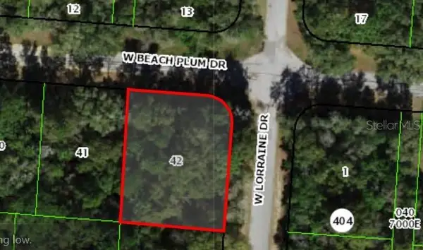 1920 W Beach Plum Drive, CITRUS SPRINGS, FL 34434