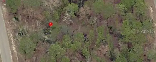 23 Fisher Lane Terrace, Ocklawaha, FL 32179 - #1