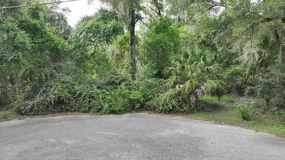 18731 SW 79th Place, Dunnellon, FL 34432 - #1