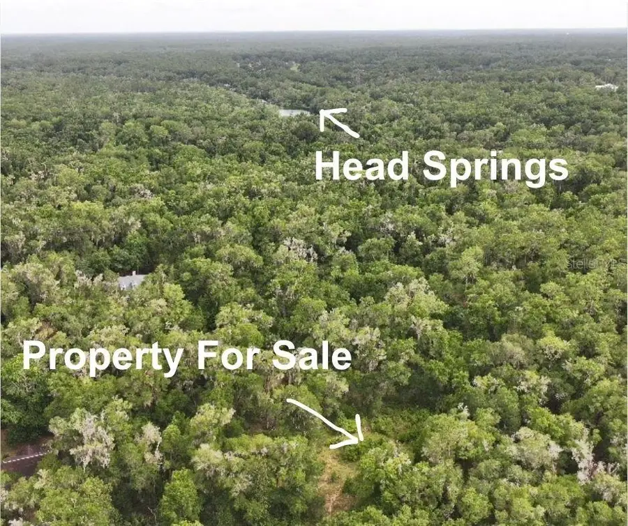 18731 SW 79th Place, Dunnellon, FL 34432 - #3
