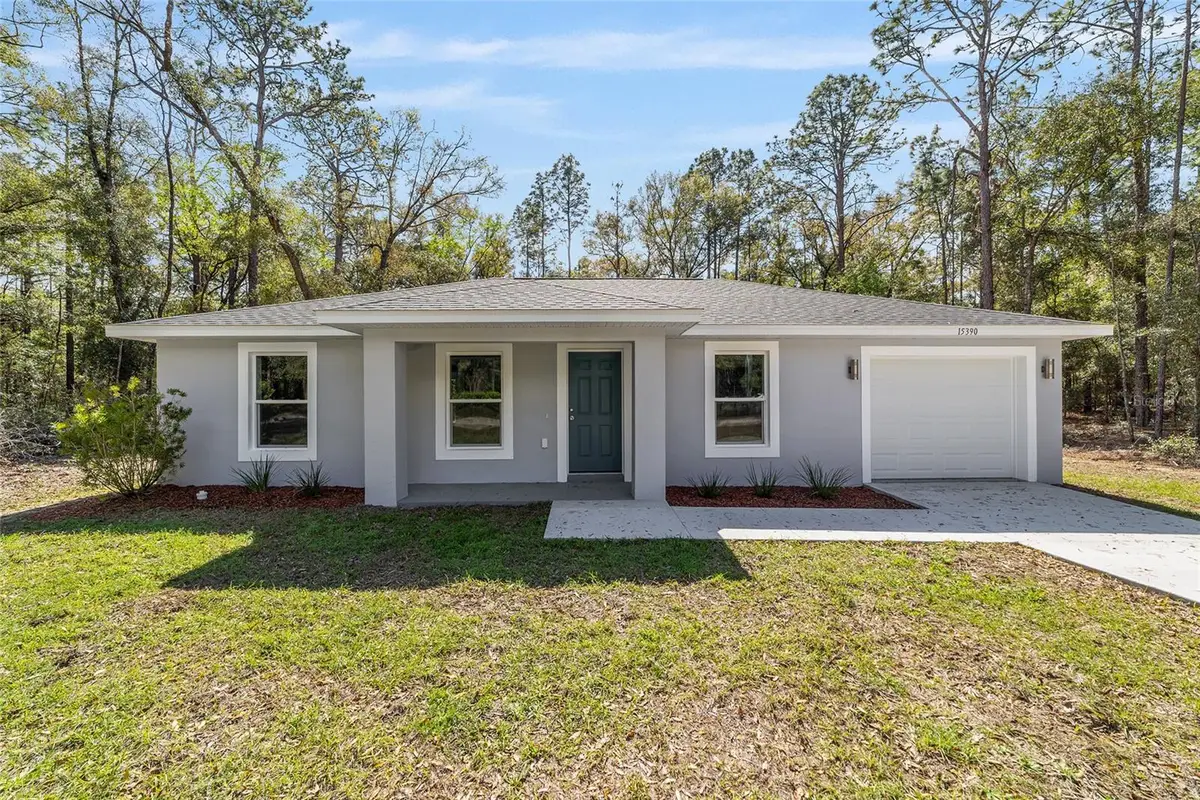 15664 SW 28th Lane, Ocala, FL 34481 - #1