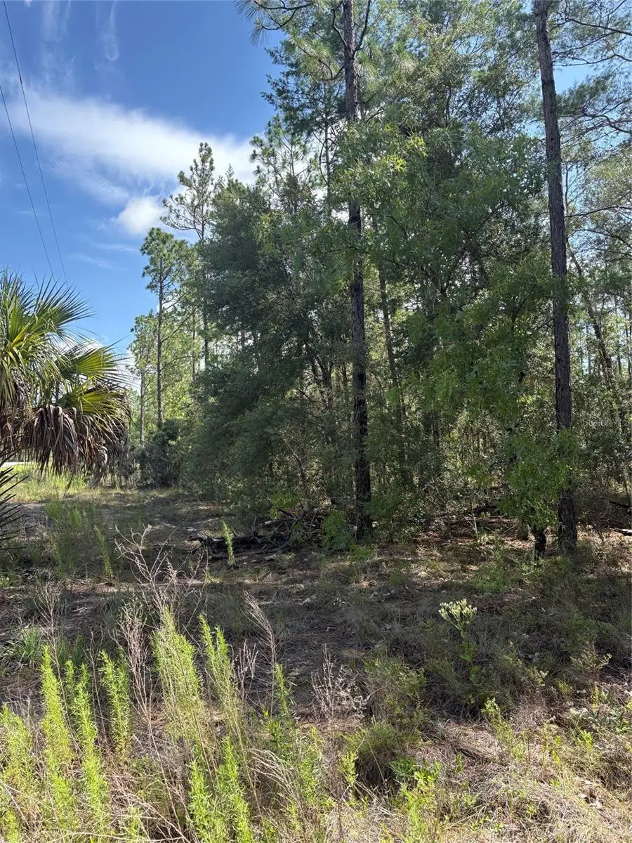 TBA Redwing Road, Dunnellon, FL 34431 - #1