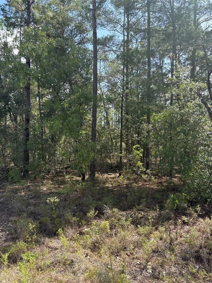 TBA Redwing Road, Dunnellon, FL 34431 - #2