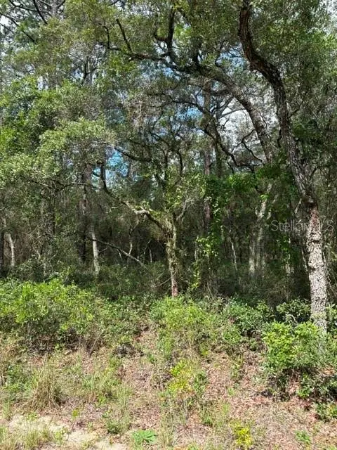 TBA SW Winding Hills Road, DUNNELLON, FL 34431