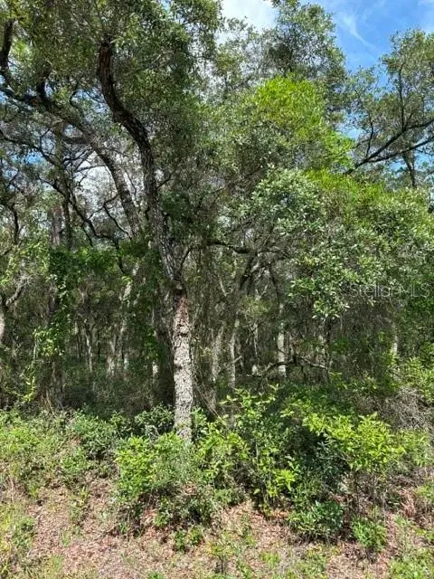 TBA SW Winding Hills Road, Dunnellon, FL 34431 - #2