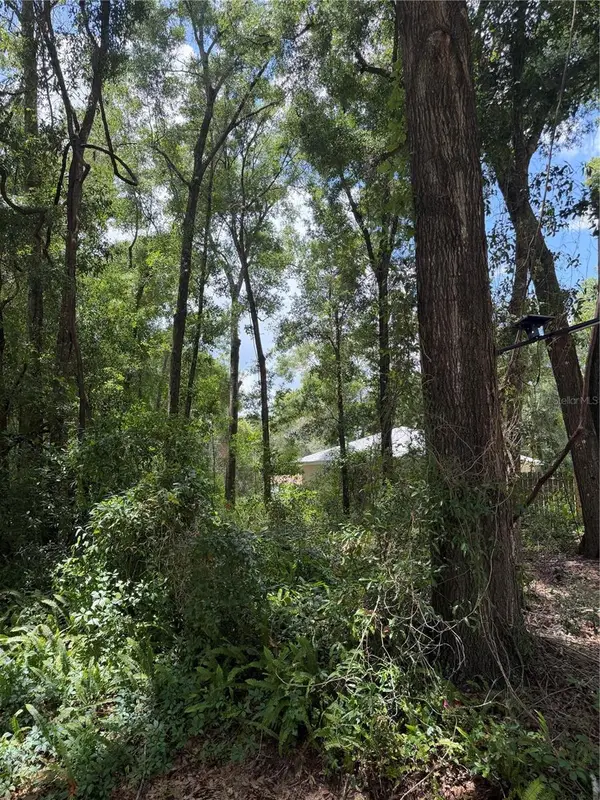 TBD SW 76th Avenue, OCALA, FL 34476