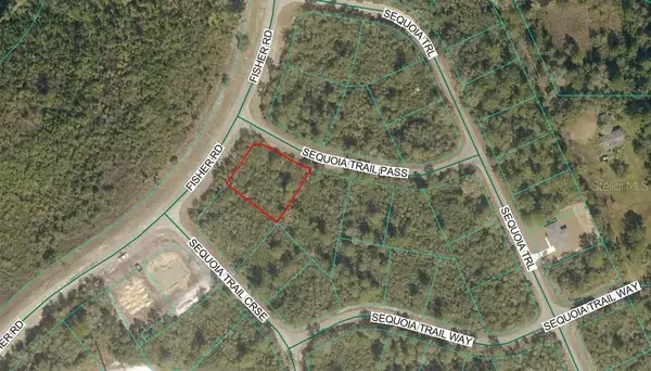 00 Fisher Road, OCKLAWAHA, FL 32179