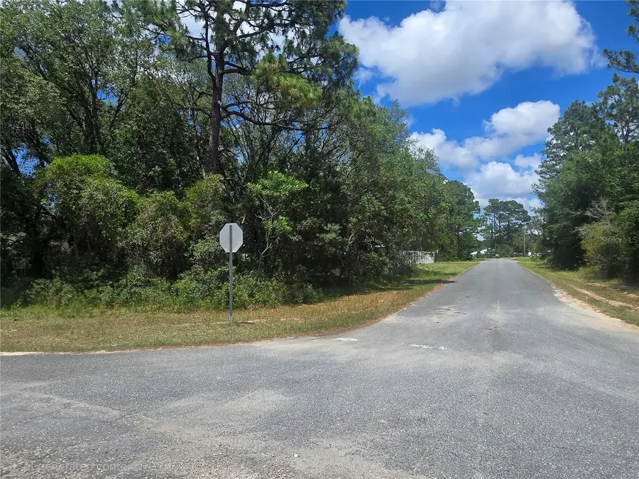 8467 N Empire Avenue, Citrus Springs, FL 34433 - #2