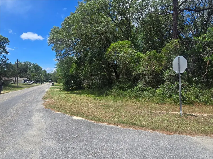 8467 N Empire Avenue, Citrus Springs, FL 34433 - #3