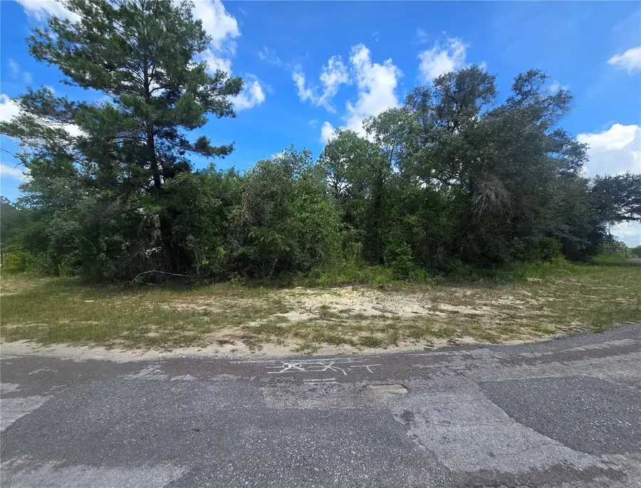 8365 N Ibsen Drive, Citrus Springs, FL 34433 - #3