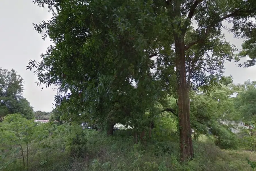 Lot 28 NW 21st Avenue, Ocala, FL 34475 - #2