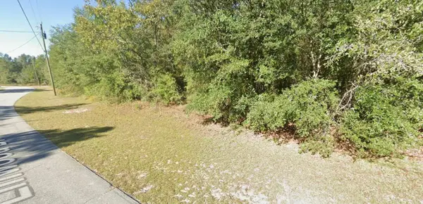 Lot 23, Unit 19, Blk 1096 Linwood Drive, CHIPLEY, FL 32428
