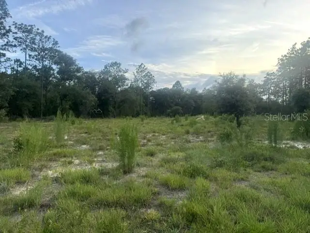 Vacant Land SW Mineola Lane, Dunnellon, FL 34431 - #2