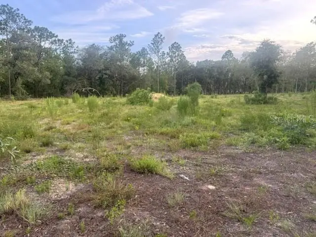 Vacant Land SW Mineola Lane, Dunnellon, FL 34431 - #3