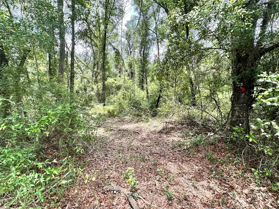 County Road 349 N., Suwannee, FL 32071 - #2