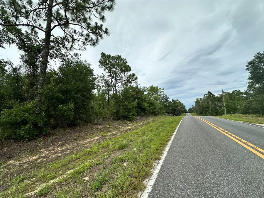 9191 NE 80th Street, Bronson, FL 32621 - #3