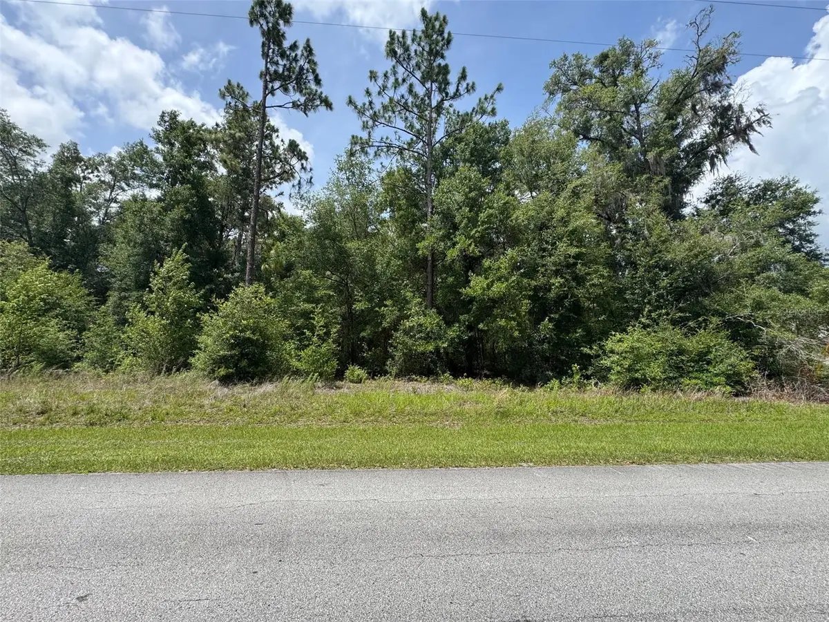TBD SW 59 Lane, Dunnellon, FL 34431 - #1