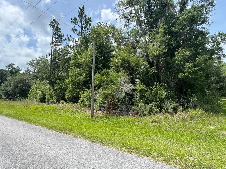 TBD SW 59 Lane, Dunnellon, FL 34431 - #2