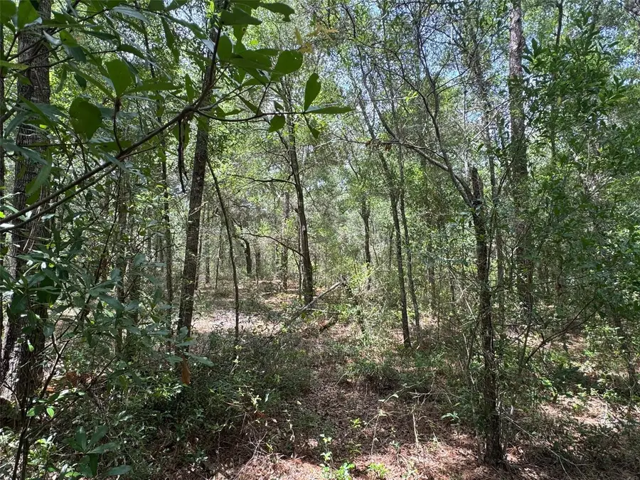 TBD SW 59 Lane, Dunnellon, FL 34431 - #3