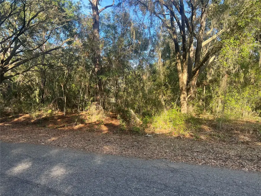 Guava Terrace, Ocklawaha, FL 32179 - #2