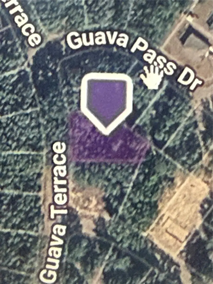 Guava Terrace, Ocklawaha, FL 32179 - #3