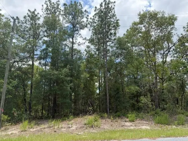 1982 W Roseboro Drive, Dunnellon, FL 34434 - #2