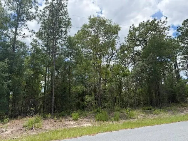 1982 W Roseboro Drive, Dunnellon, FL 34434 - #3