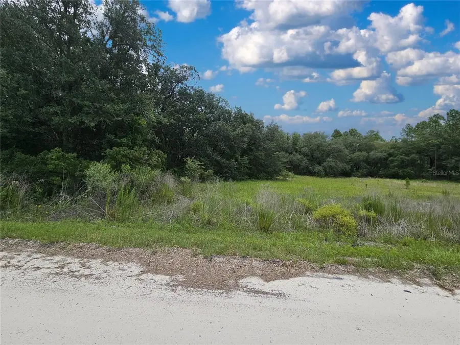 11751 SE 57th Street, Morriston, FL 32668 - #3