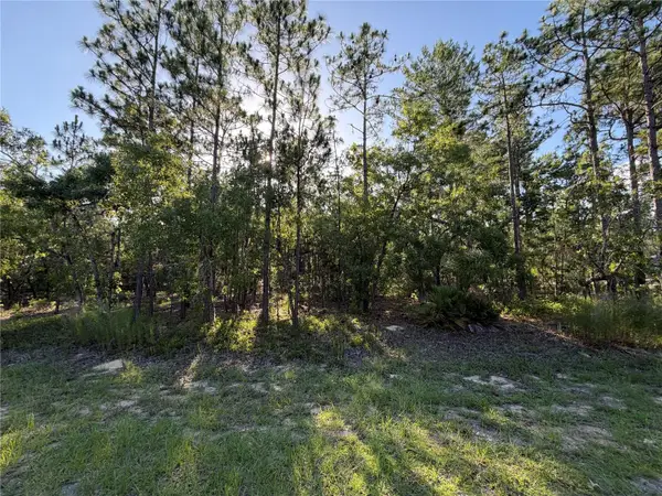 2005 Cr 243e, WILDWOOD, FL 34785