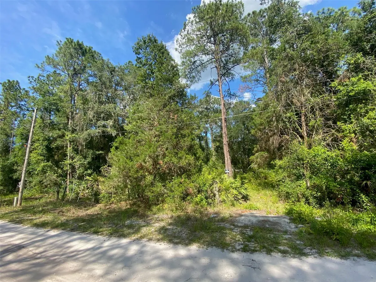 13701 NE 66th Avenue, Citra, FL 32113 - #1