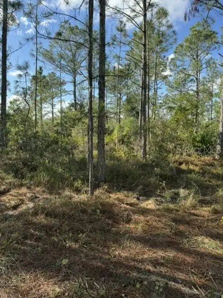 Tbd, Frostproof, FL 33843 - #2