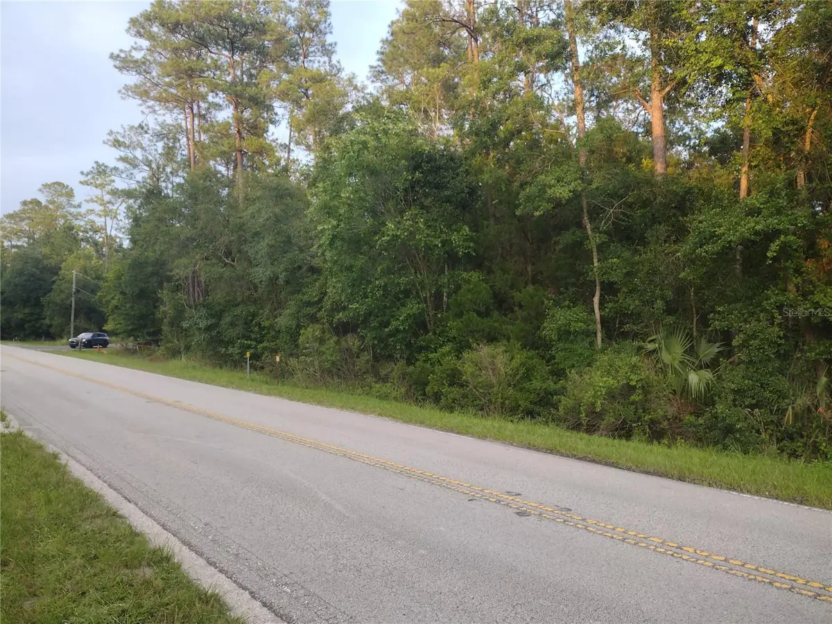 NE Hwy 314 Highway Ne, Silver Springs, FL 34488 - #1