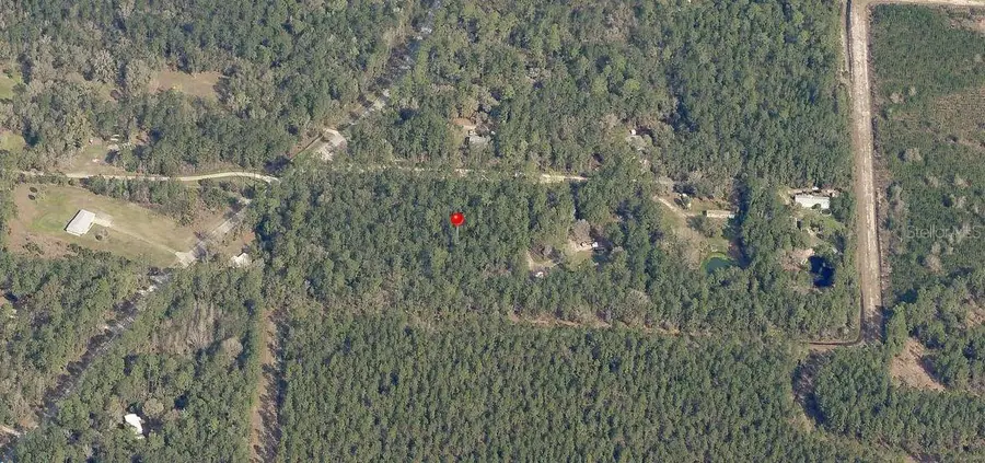 NE Hwy 314 Highway Ne, Silver Springs, FL 34488 - #3