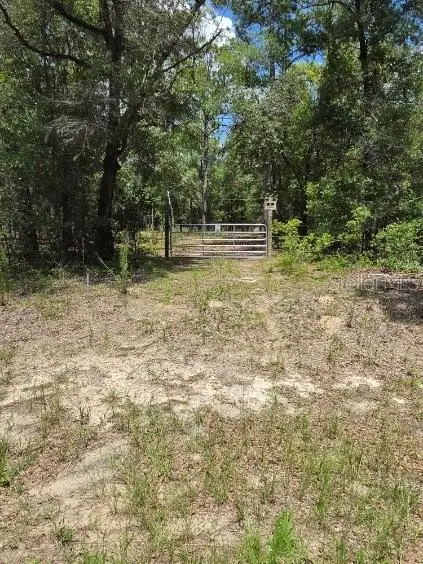 8355 N Orton Way, Dunnellon, FL 34434 - #2