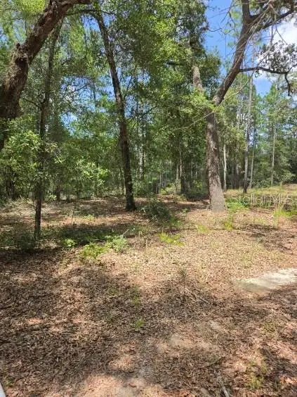 8355 N Orton Way, Dunnellon, FL 34434 - #3