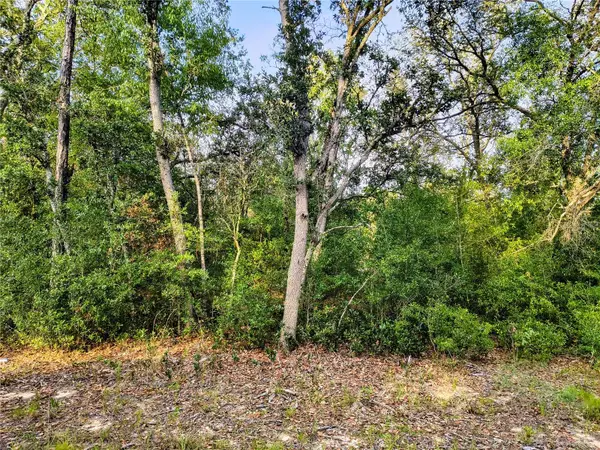 8821 NE 97th Court, BRONSON, FL 32621