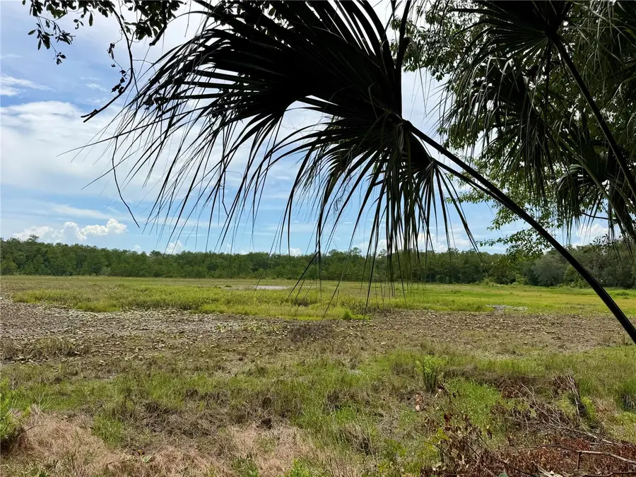 14120 NE 110th Avenue Road, Fort McCoy Anthony, FL 32134 - #2