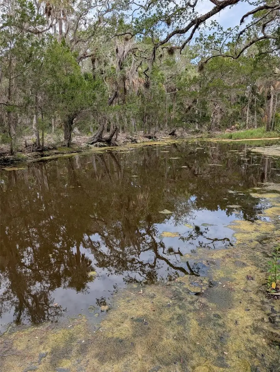 0 Se Bee Tree Rd, Gulf Hammock, FL 32639 - #2