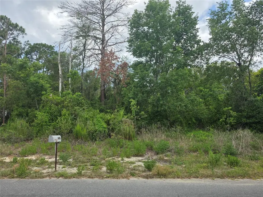 3475 El Prado Avenue, Spring Hill, FL 34609 - #3