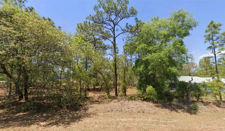 TBD Lot 25 Oak Lane Circle, Ocala, FL 34472 - #2