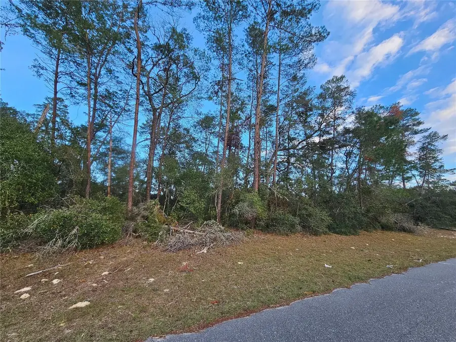 0 SW 33rd Terrace, Ocala, FL 34473 - #2