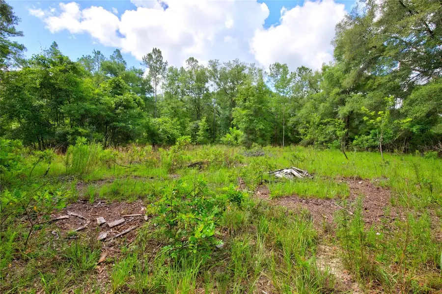 3450 NE 48th Avenue, High Springs, FL 32643 - #3