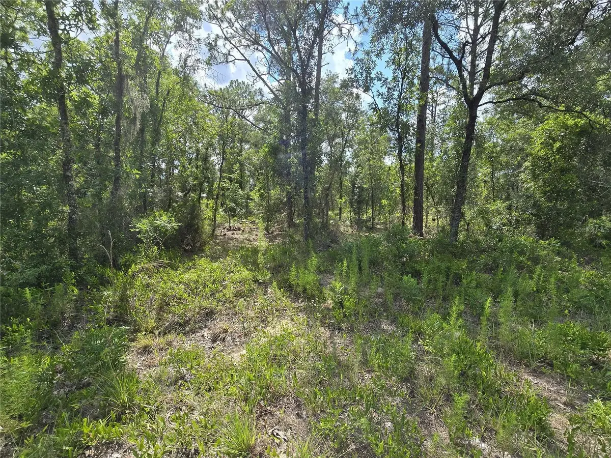 00 NE 121st Avenue, Williston, FL 32696 - #1