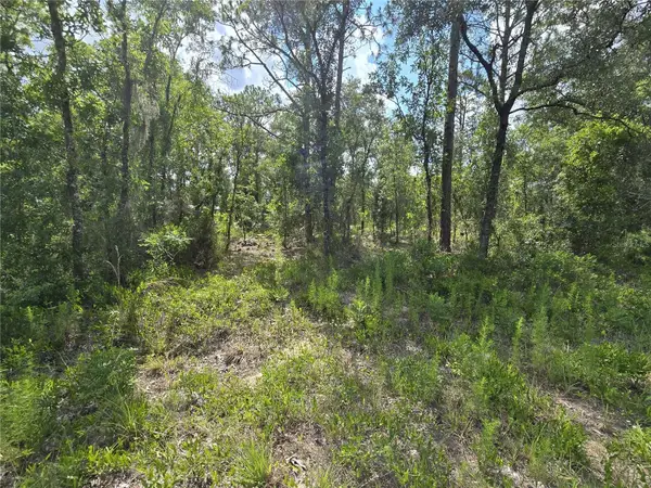 00 NE 121st Avenue, WILLISTON, FL 32696
