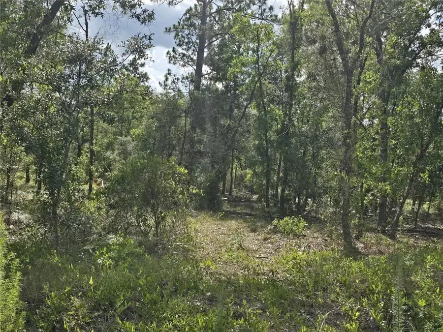 00 NE 121st Avenue, Williston, FL 32696 - #2